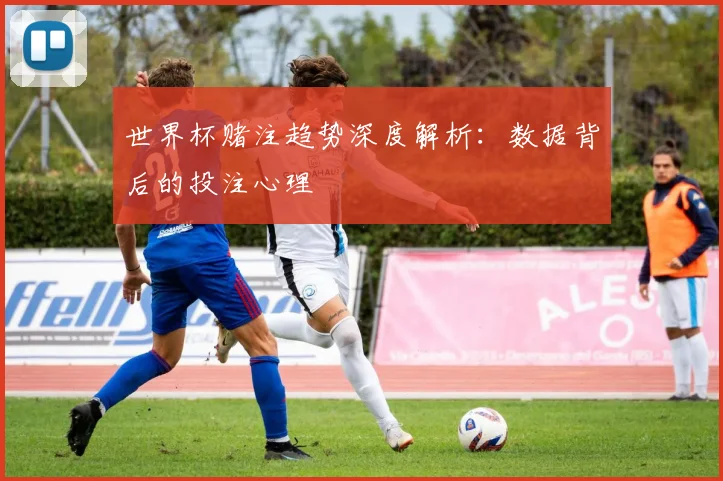 世界杯赌注趋势深度解析：数据背后的投注心理