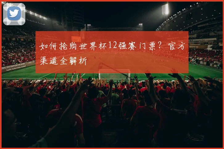 如何抢购世界杯12强赛门票？官方渠道全解析