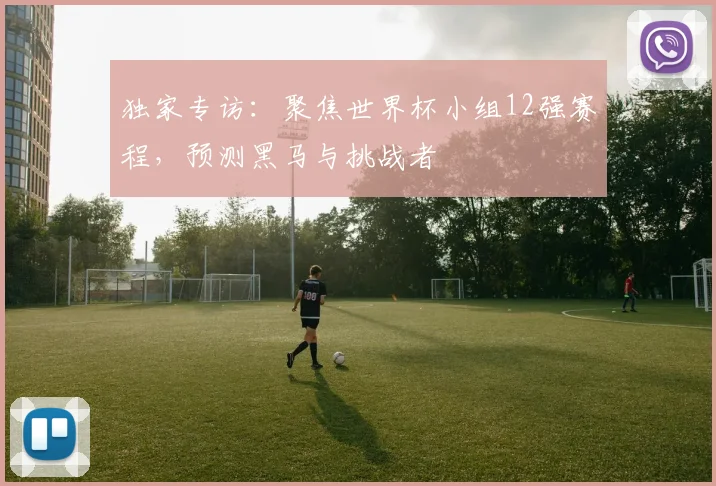 独家专访：聚焦世界杯小组12强赛程，预测黑马与挑战者