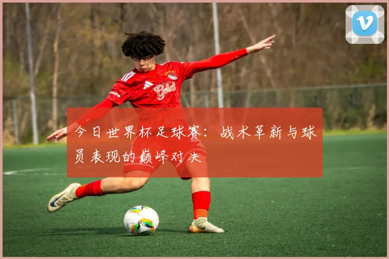 今日世界杯足球赛:战术革新与球员表现的巅峰对决