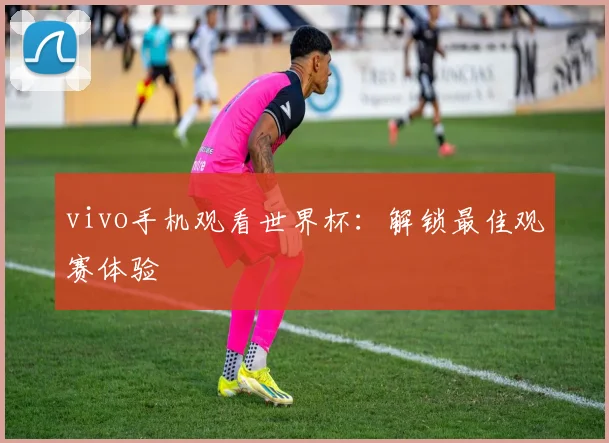 vivo手机观看世界杯：解锁最佳观赛体验