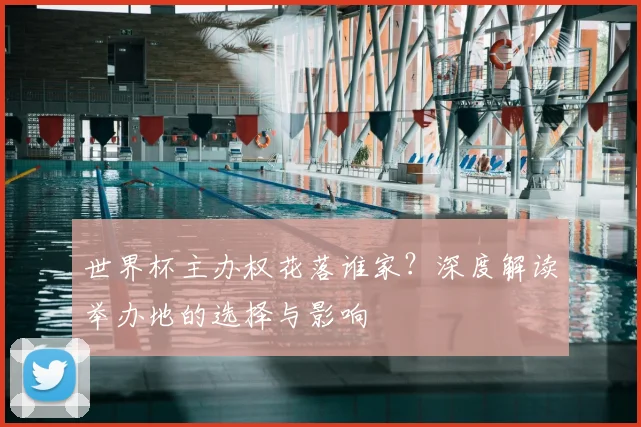 世界杯主办权花落谁家?深度解读举办地的选择与影响