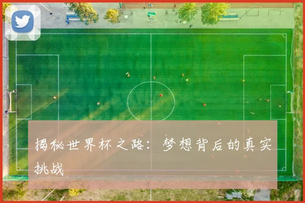 揭秘世界杯之路：梦想背后的真实挑战