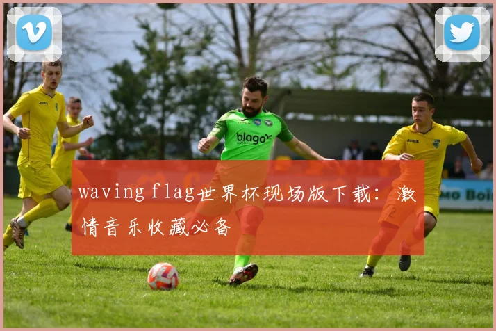 waving flag世界杯现场版下载：激情音乐收藏必备