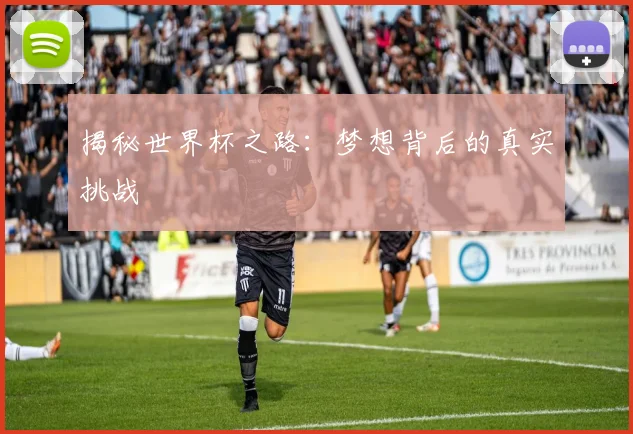 揭秘世界杯之路：梦想背后的真实挑战
