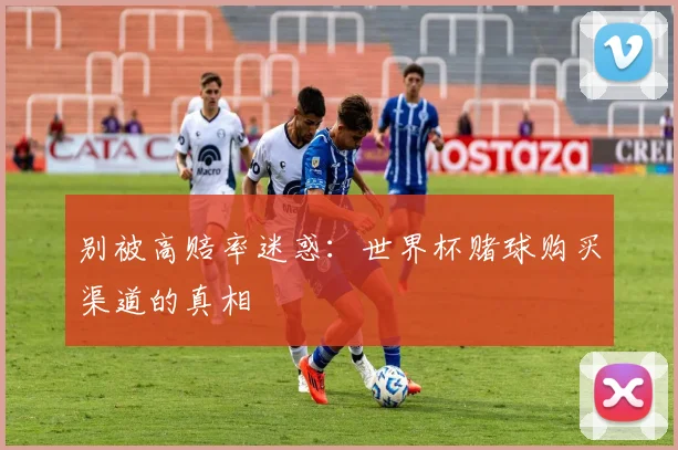 别被高赔率迷惑：世界杯赌球购买渠道的真相
