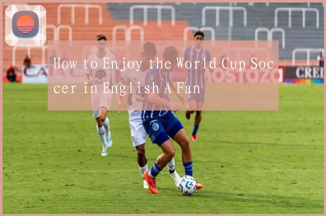 How to Enjoy the World Cup Soccer in English A Fan