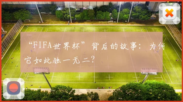 “FIFA世界杯”背后的故事：为何它如此独一无二？