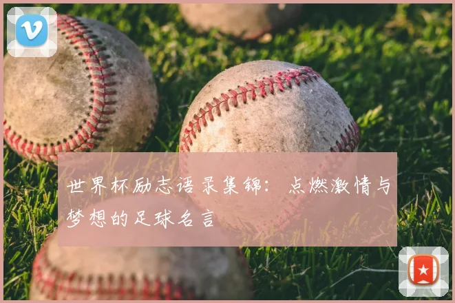 世界杯励志语录集锦:点燃激情与梦想的足球名言