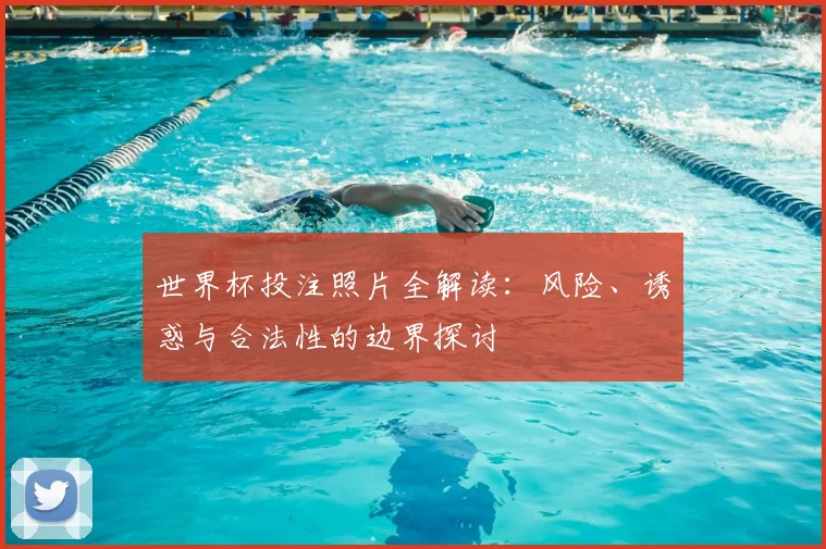 世界杯投注照片全解读：风险、诱惑与合法性的边界探讨