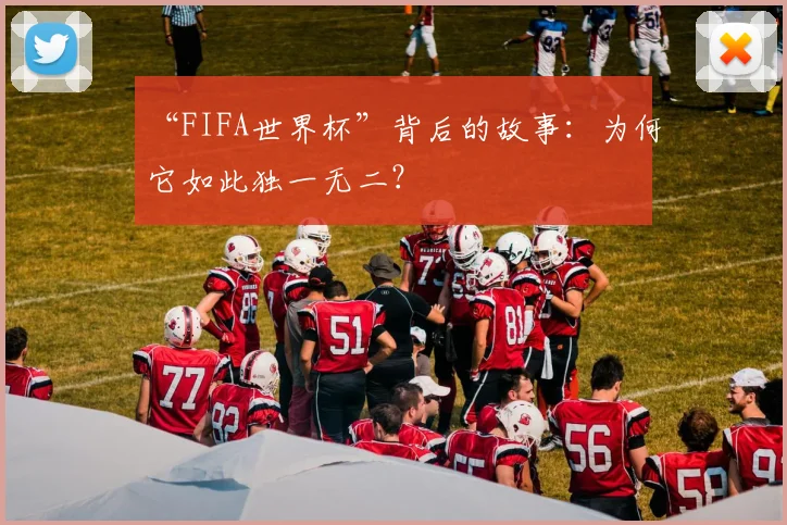 “FIFA世界杯”背后的故事：为何它如此独一无二？