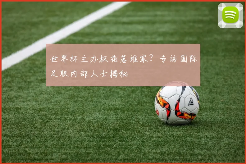 世界杯主办权花落谁家？专访国际足联内部人士揭秘